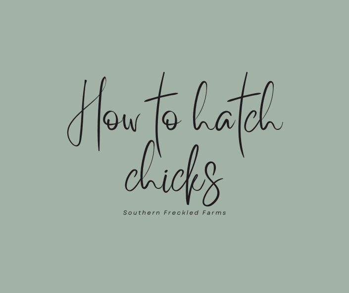 How to Hatch Your Own Eggs