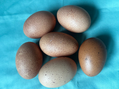 Six speckled eggs on a blue fabric background